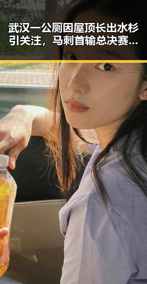 武汉一公厕因屋顶长出水杉引关注,马刺首输总决赛G1后文班主动揽责引热议
