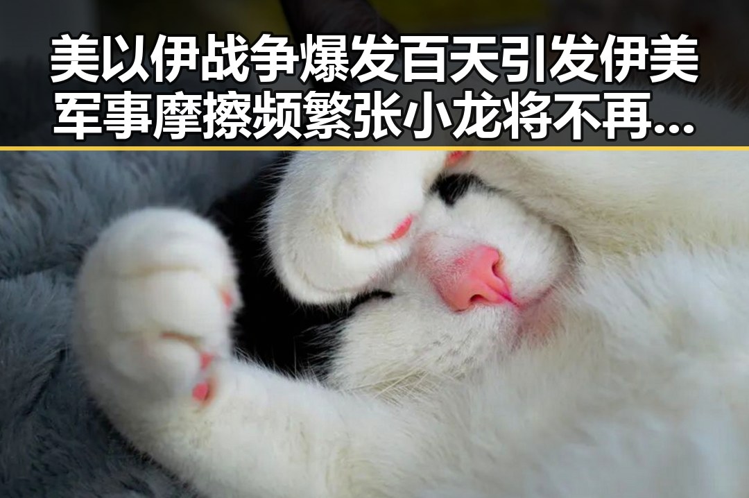 美以伊战争爆发百天引发伊美军事摩擦频繁 张小龙将不再出席引发科技界震动