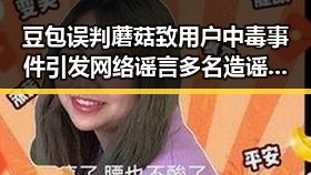 豆包误判蘑菇致用户中毒事件引发网络谣言 多名造谣者被处罚